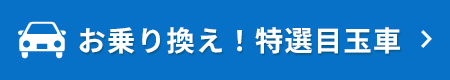 お乗り換え！特選目玉車